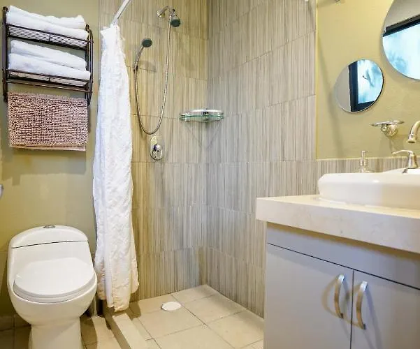 Casa Carmelia La Condesa Apartment Mexico City