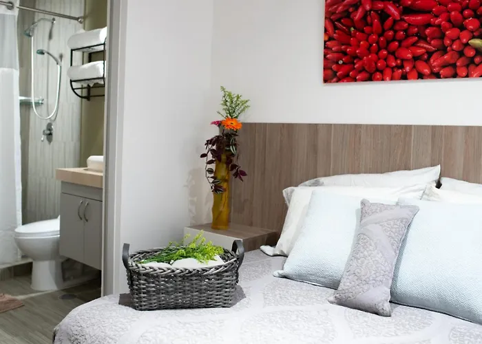 Casa Carmelia La Condesa Apartment Mexico City