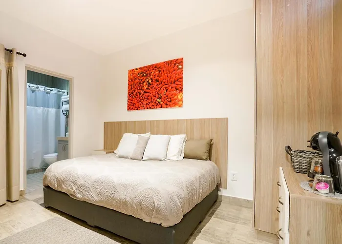 Apartment Casa Carmelia La Condesa Mexico City