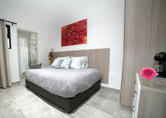 Casa Carmelia La Condesa