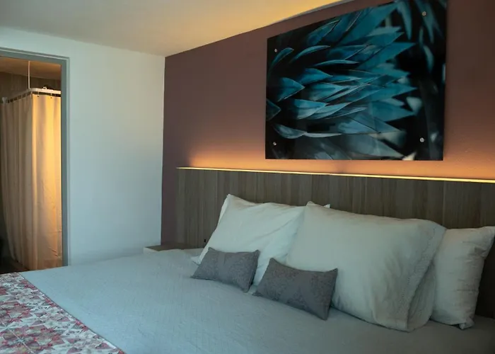 Apartment Casa Carmelia La Condesa Mexico City
